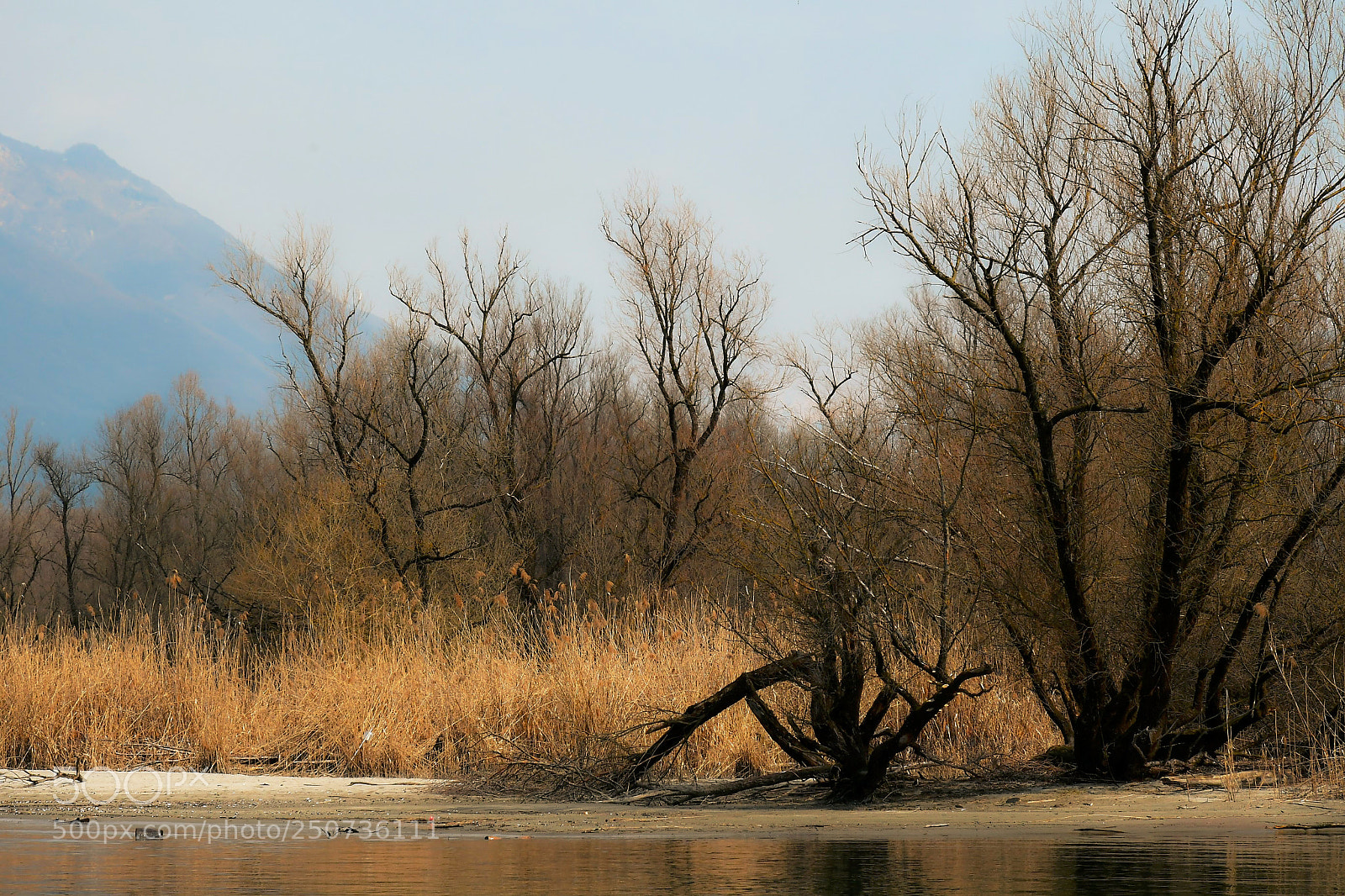 Nikon D500 sample photo. Bolle di magadino photography