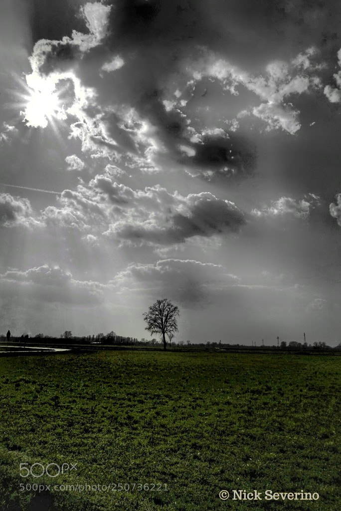 Sony a7R sample photo. Vertical landscape photography