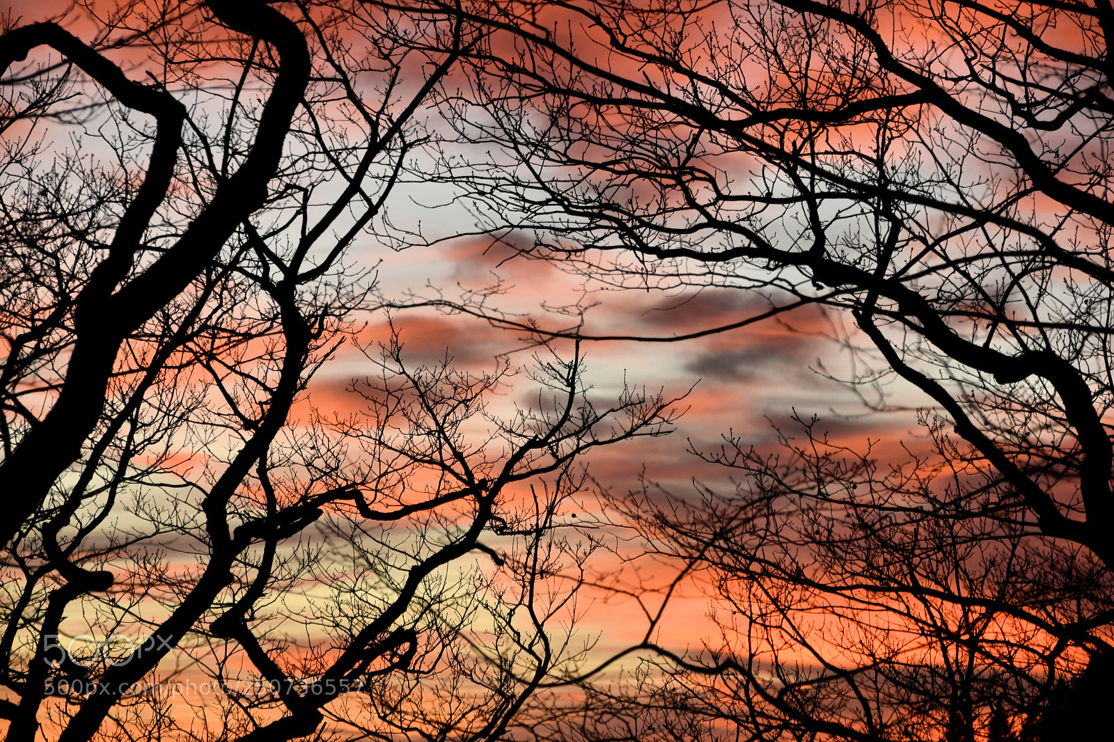 Nikon D3300 sample photo. Abendäste photography