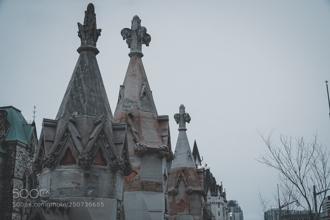 Sony a6300 sample photo. Dsc photography