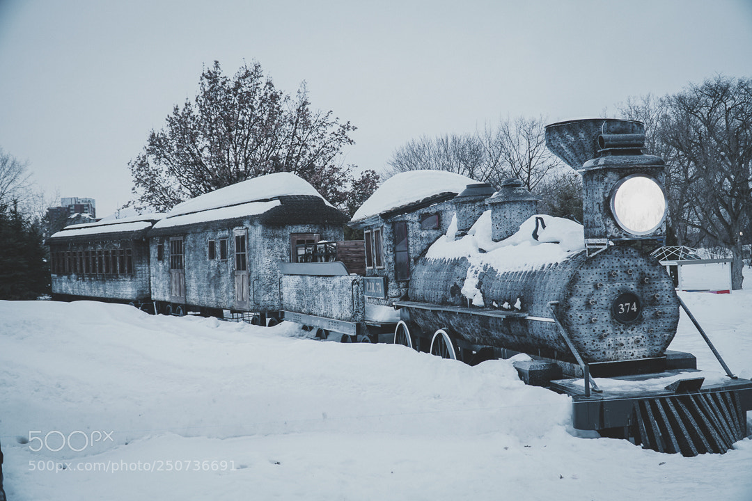 Sony a6300 sample photo. Dsc photography