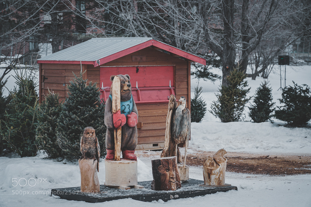 Sony a6300 sample photo. Dsc photography