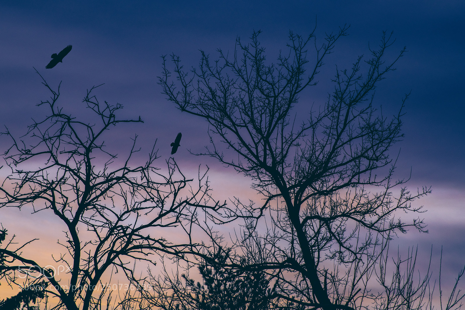 Nikon D850 sample photo. Dawn patrol photography