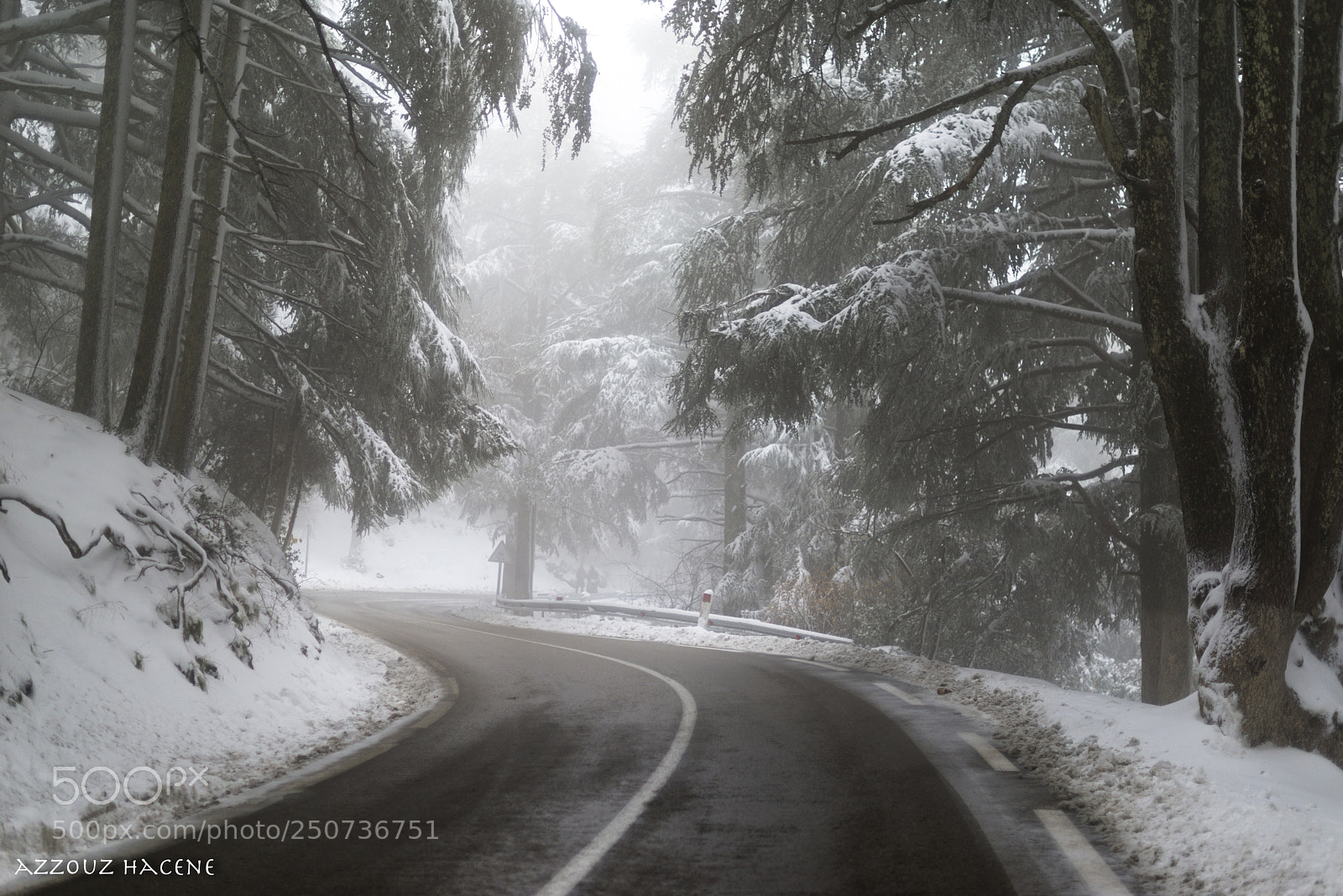 Nikon D800E sample photo. Snow photography