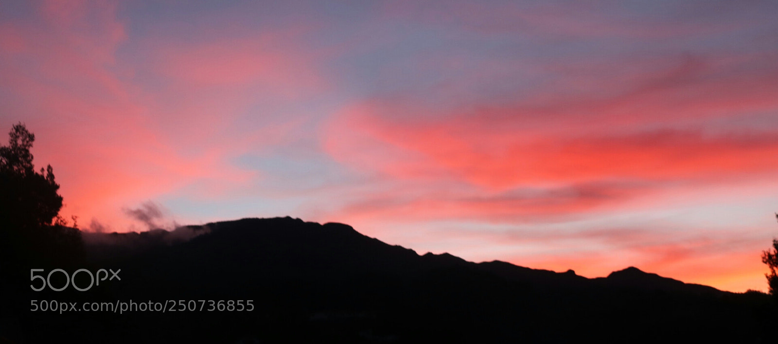 Canon EOS 750D (EOS Rebel T6i / EOS Kiss X8i) sample photo. 6:20pm? photography