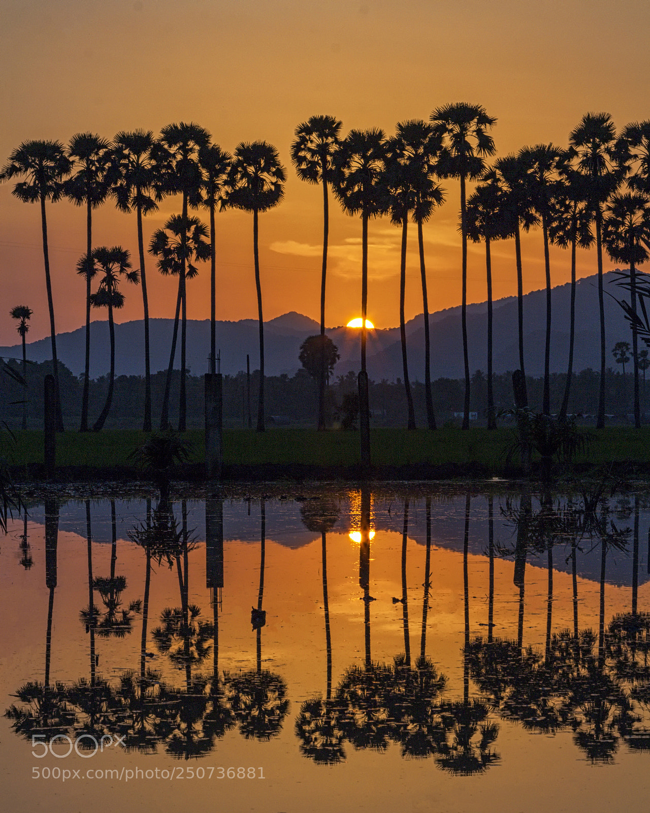 Canon EOS 650D (EOS Rebel T4i / EOS Kiss X6i) sample photo. Blissful reflections! photography