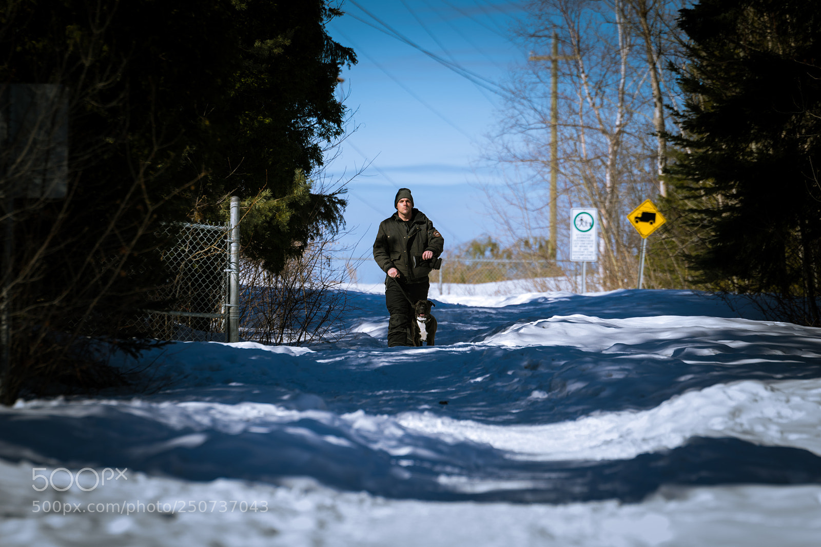Nikon D3300 sample photo. Dog walk photography