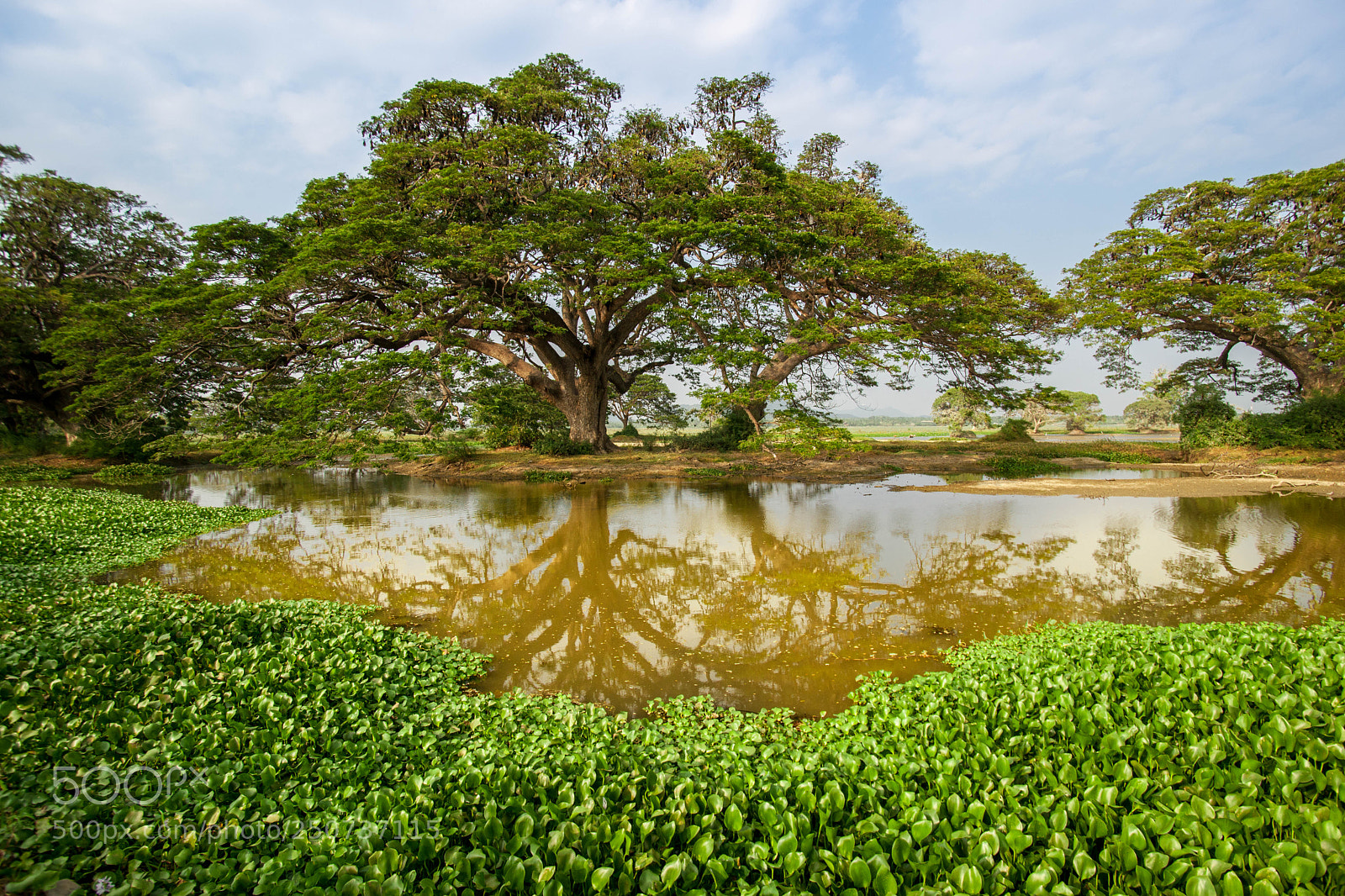 Sony Alpha DSLR-A900 sample photo. Tissa lake, sri lanka photography