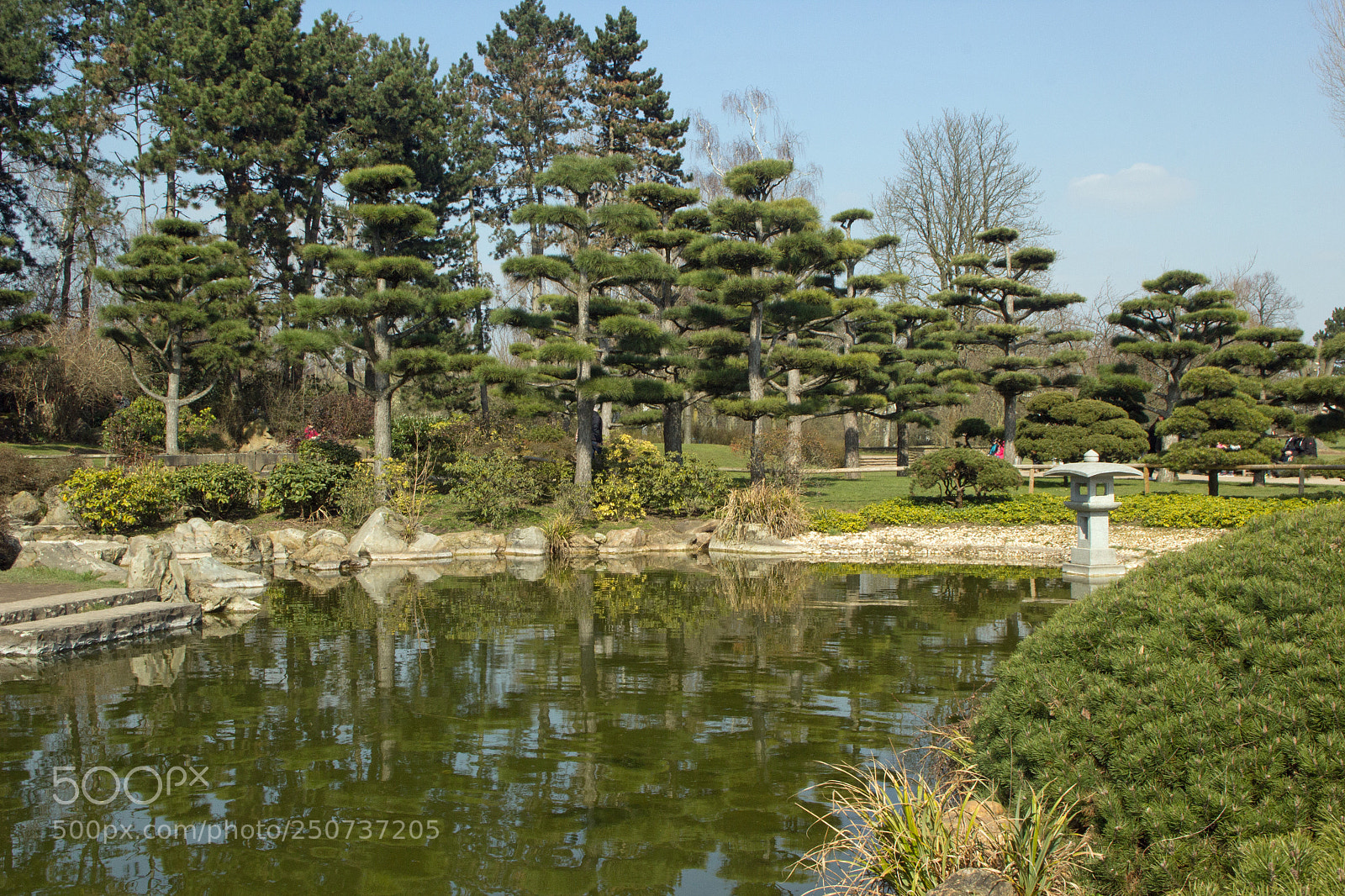 Canon EOS 60D sample photo. Img photography