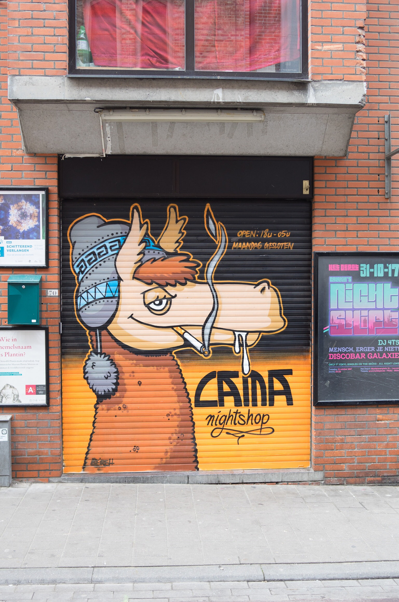 Leica T (Typ 701) sample photo. Lama tag photography