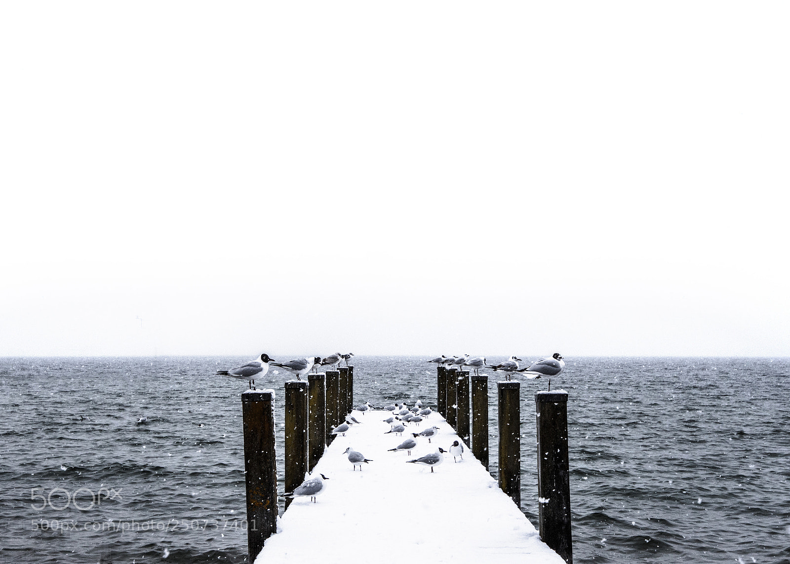 Nikon D7200 sample photo. Waiting for spring photography