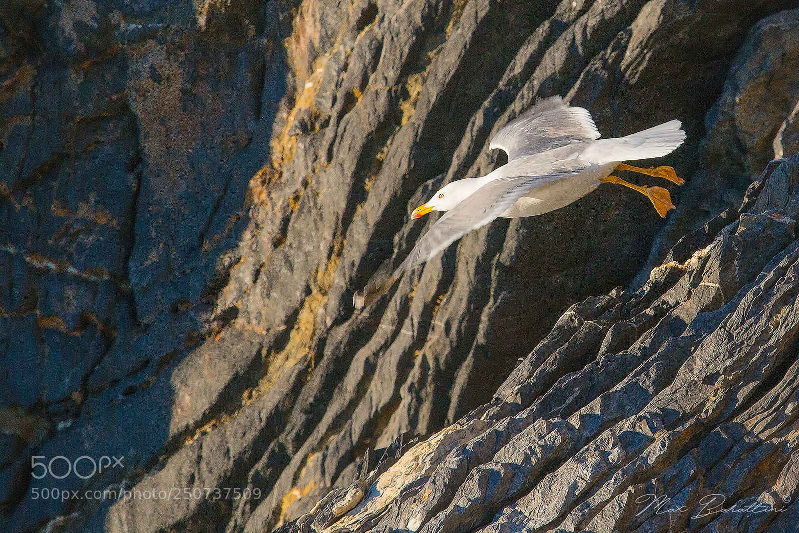 Canon EOS 70D sample photo. Flying off photography