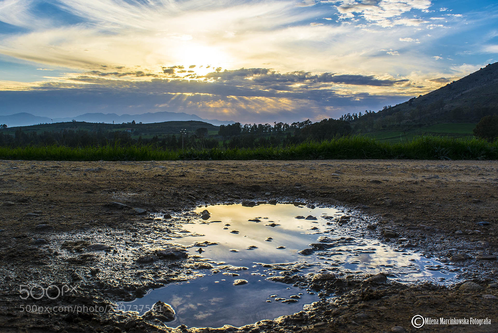 Nikon D5200 sample photo. The puddle at sunset photography