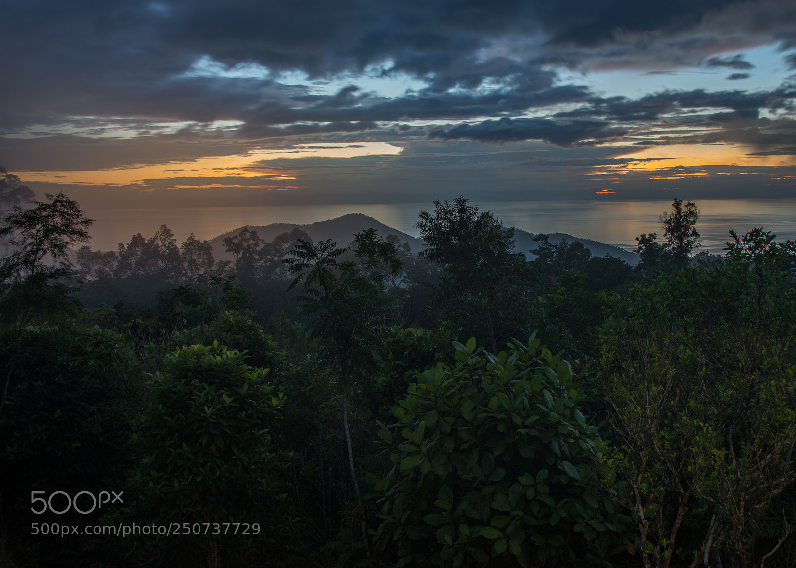 Nikon D810 sample photo. Night in hamiguitan photography