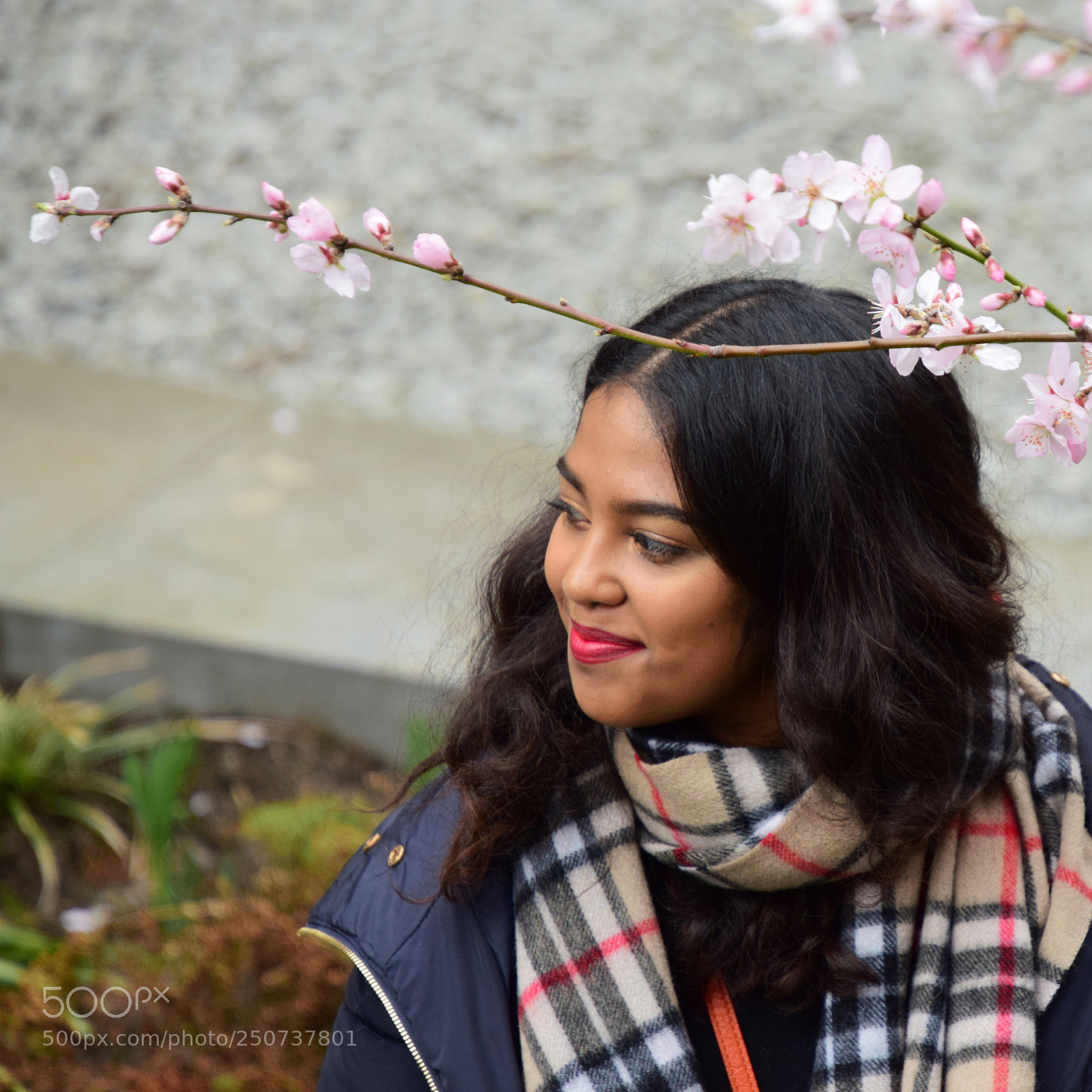 Nikon D3300 sample photo. Cherry blossom portrait photography