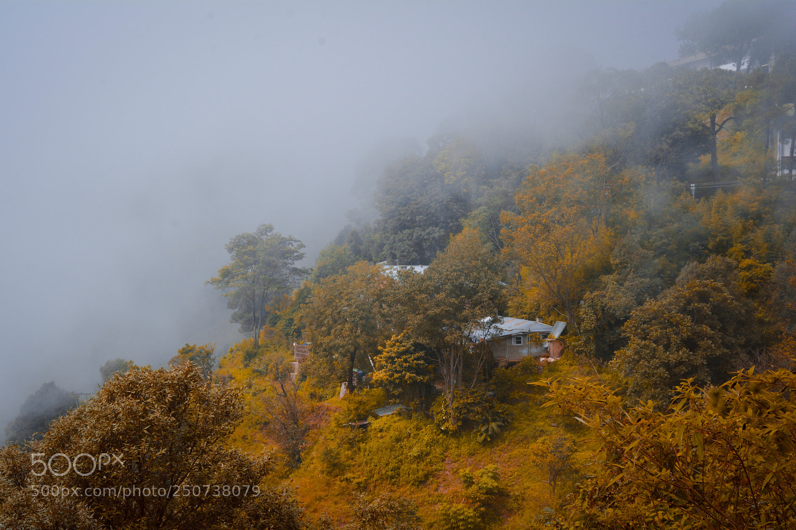 Nikon D5200 sample photo. The autumn feels photography