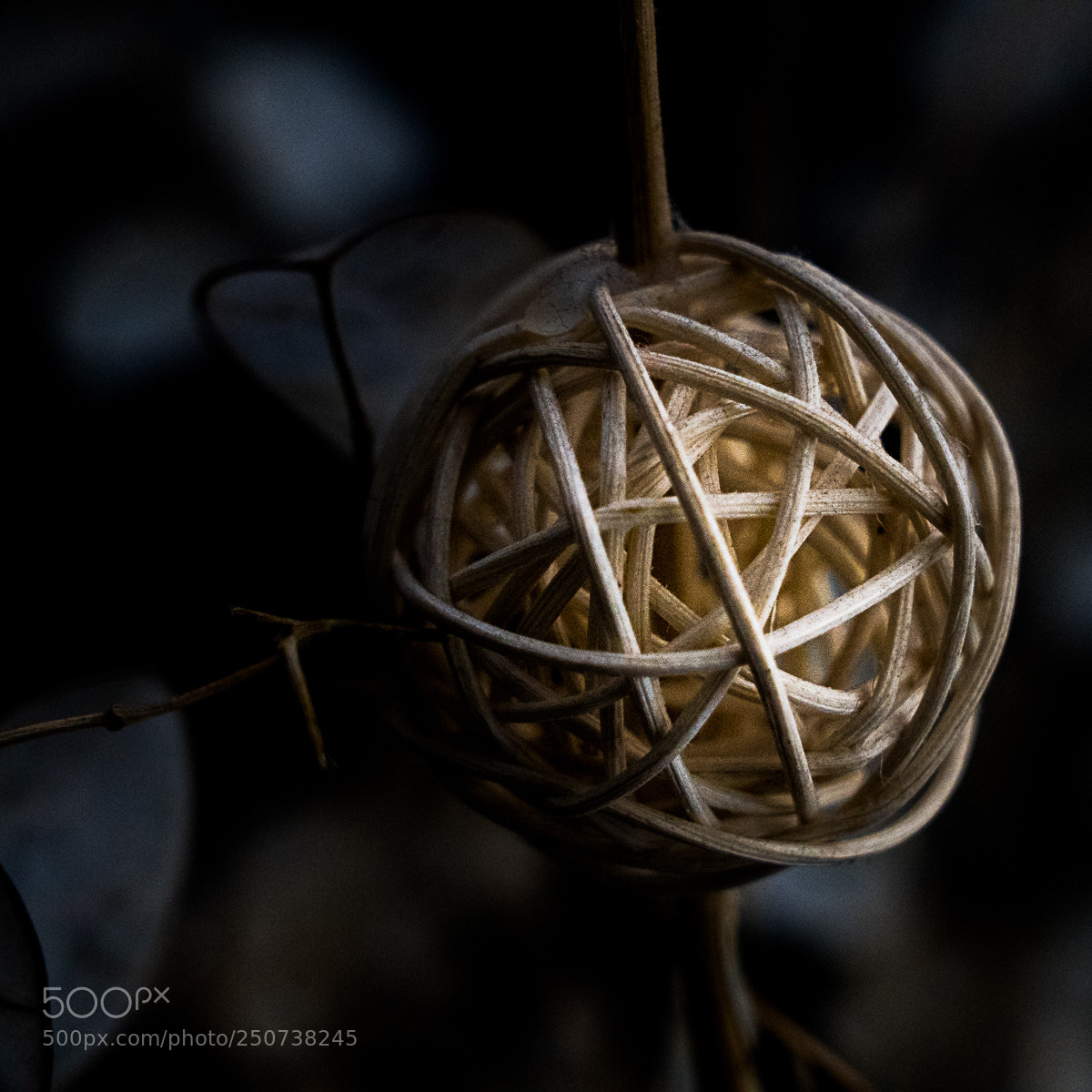 Sony a7R II sample photo. Embolic photography