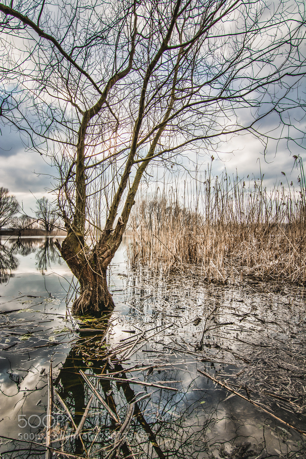 Nikon D7100 sample photo. Nature photography