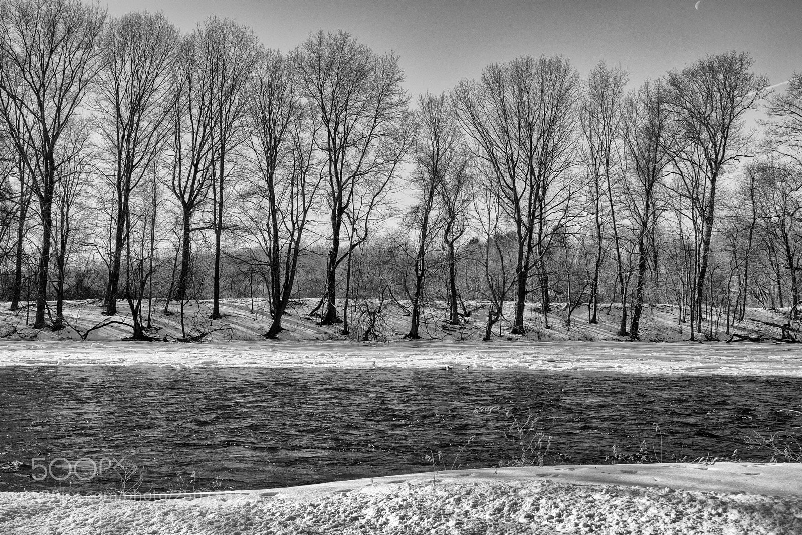 Canon EOS M5 sample photo. Along the banks photography