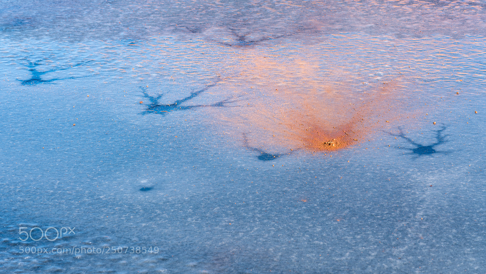 Sony a7R III sample photo. Fractured photography