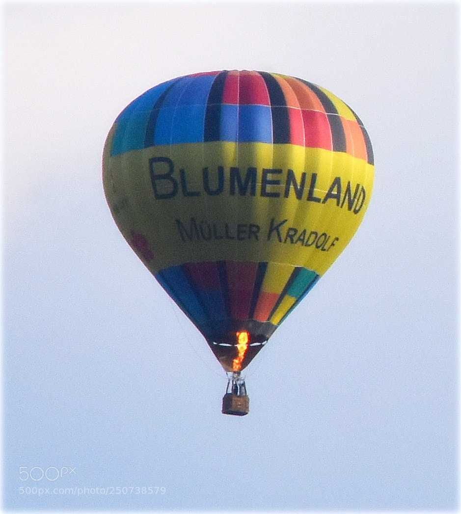 Nikon D7200 sample photo. "sky driver" photography
