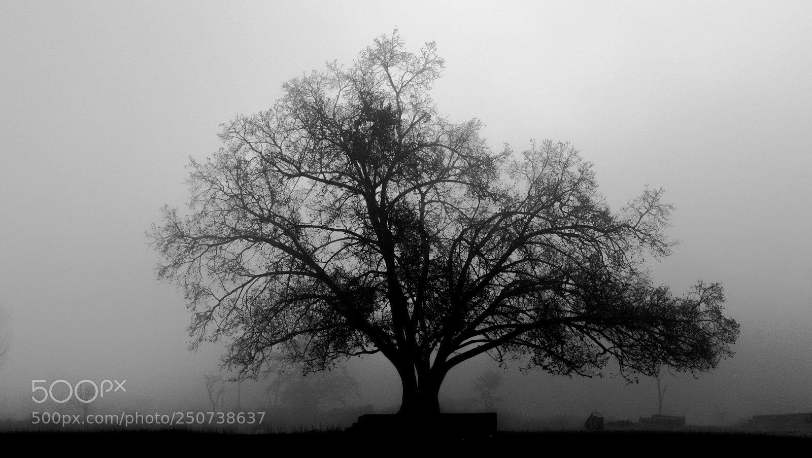 Nikon D3200 sample photo. Solitude in the heart photography