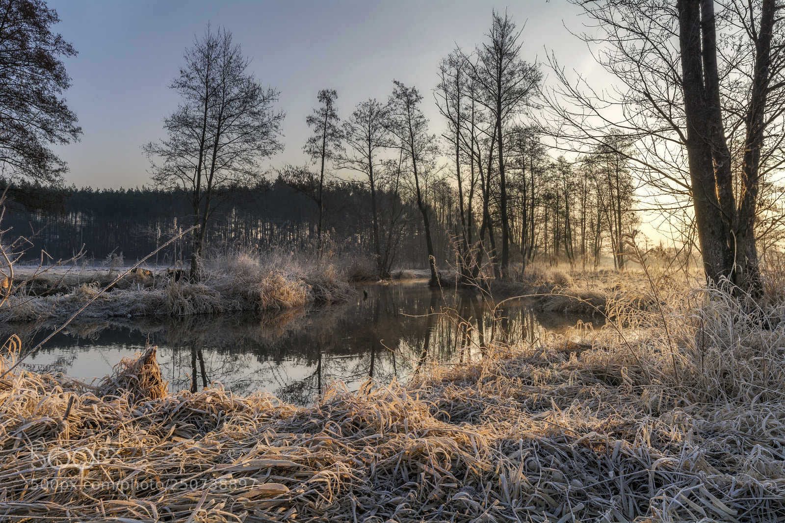 Nikon D5200 sample photo. Sunrise light photography