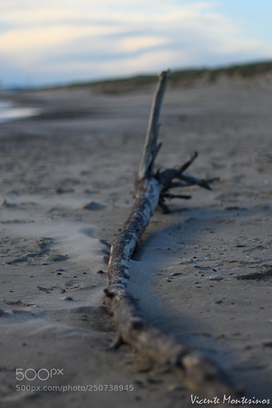 Nikon D7500 sample photo. Playa la devesa photography