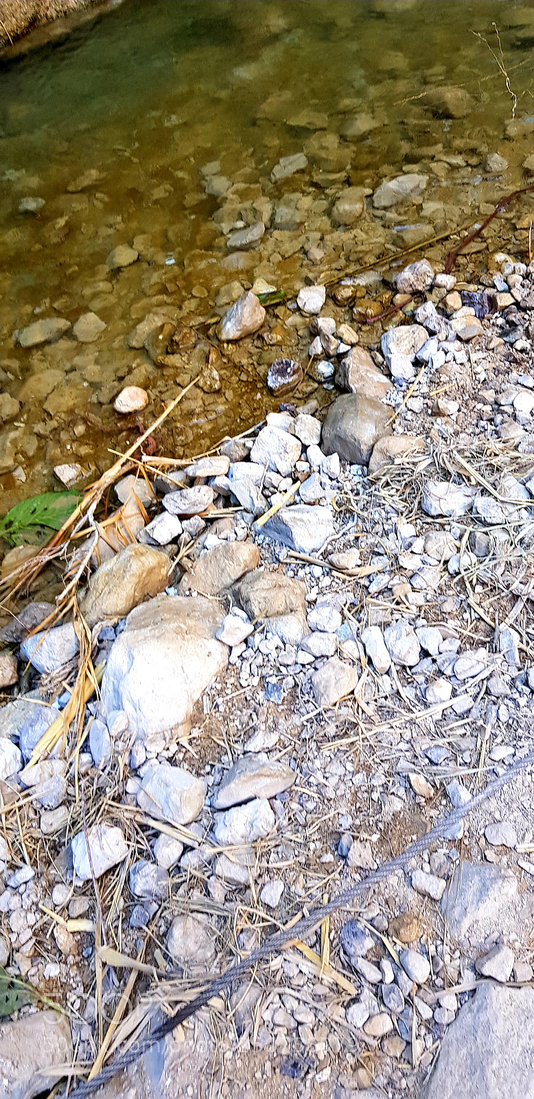 Samsung Galaxy S8+ sample photo. Untitled photography