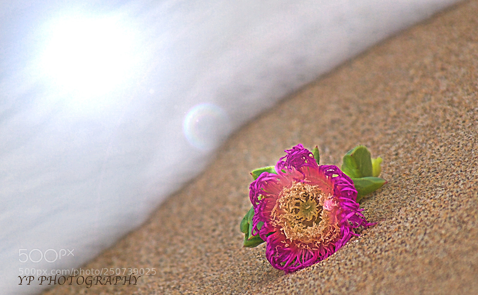 Nikon D200 sample photo. Untitled photography
