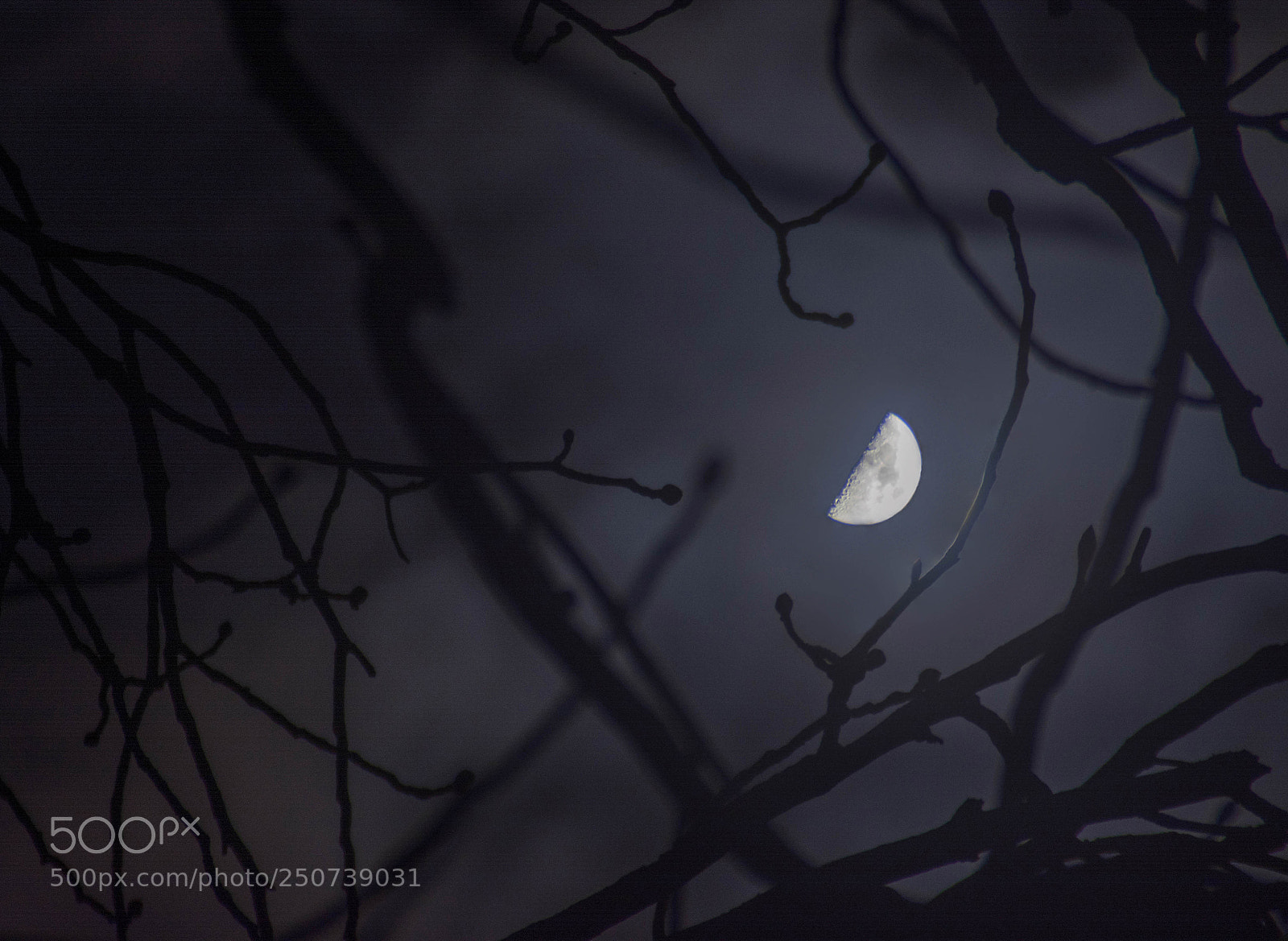 Nikon D5200 sample photo. Playing with focus photography