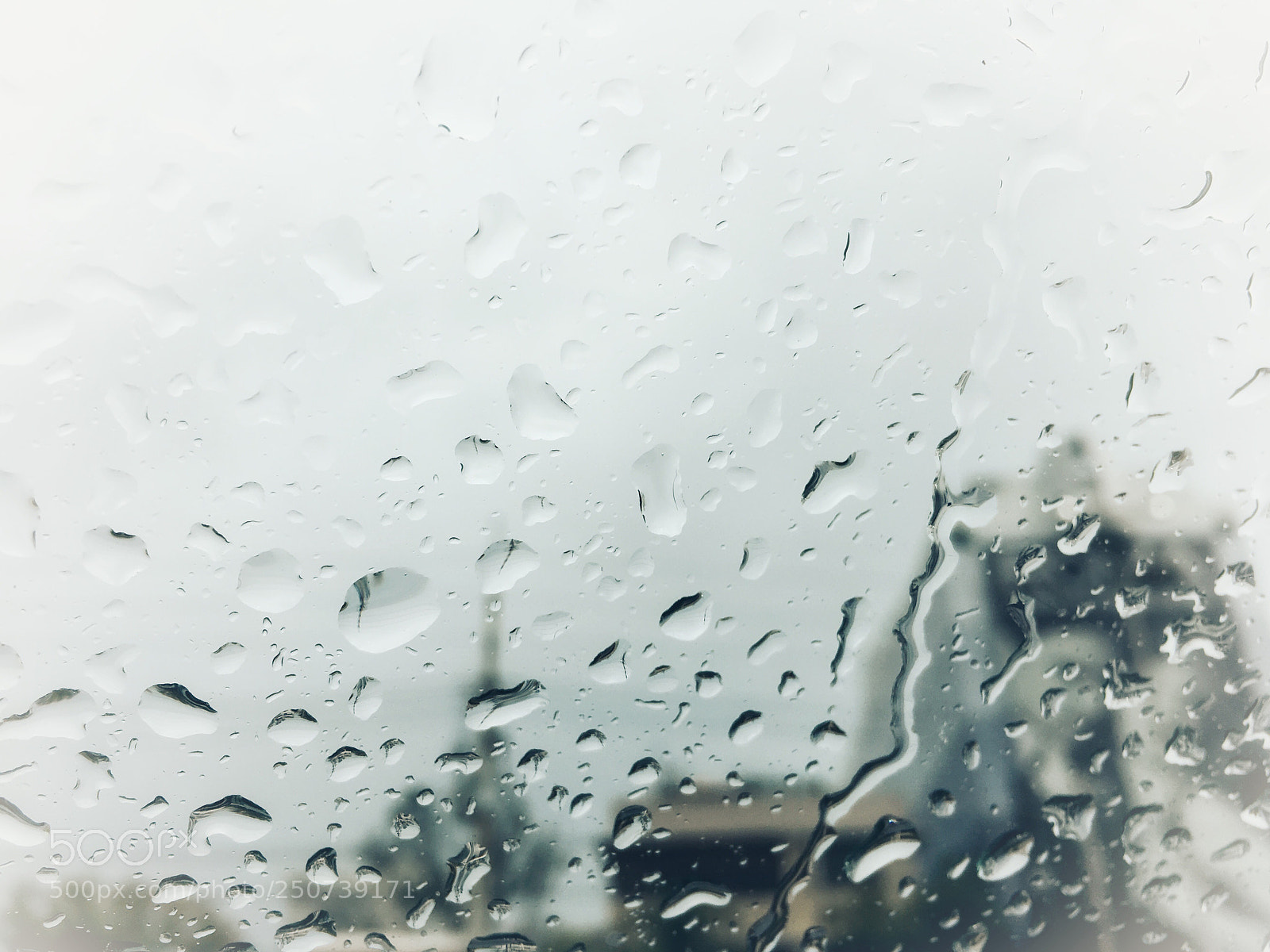 Apple iPhone 6s sample photo. Untitled photography