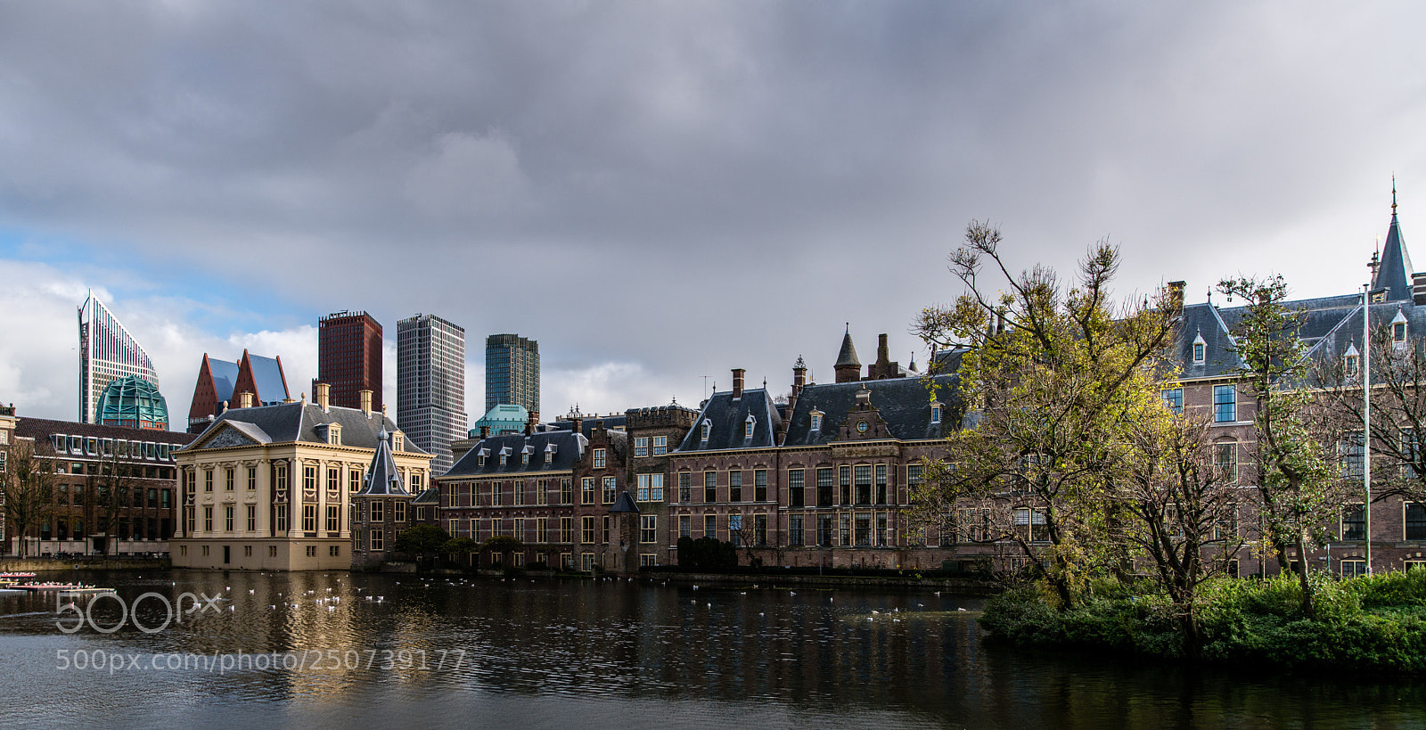 Sony a7R II sample photo. La haya nice city  photography