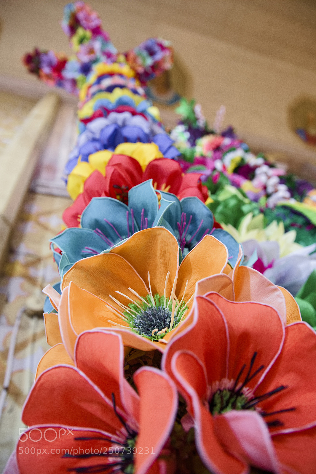 Nikon D7200 sample photo. Untitled photography