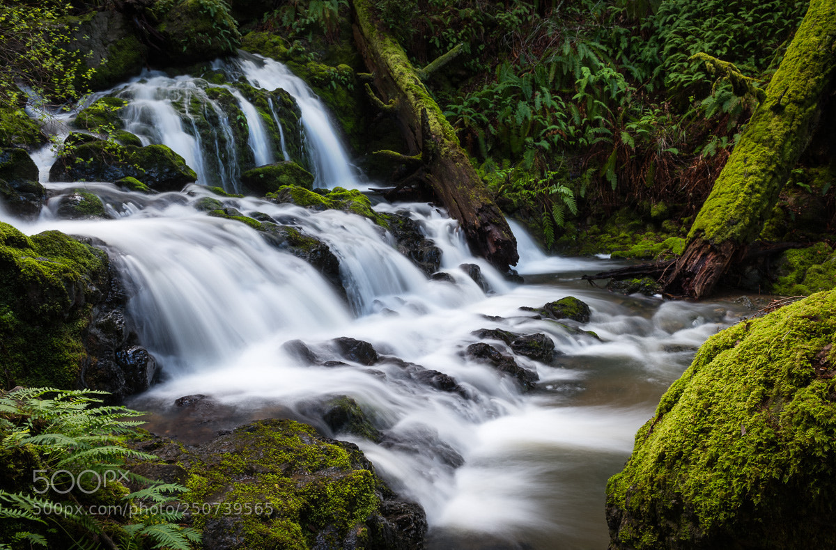 Nikon D810 sample photo. Morning at cataract falls photography