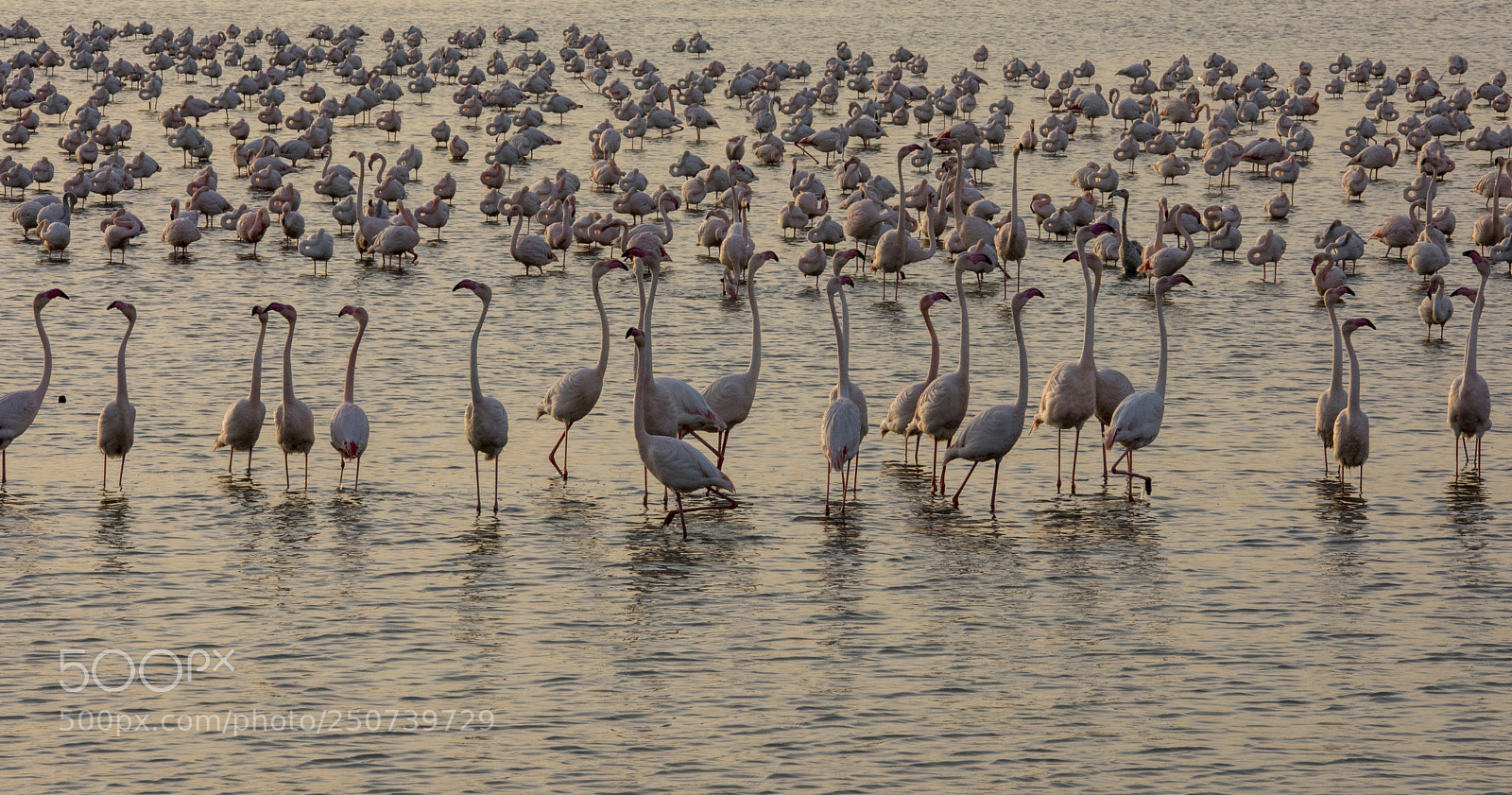 Nikon D810 sample photo. Untitled photography