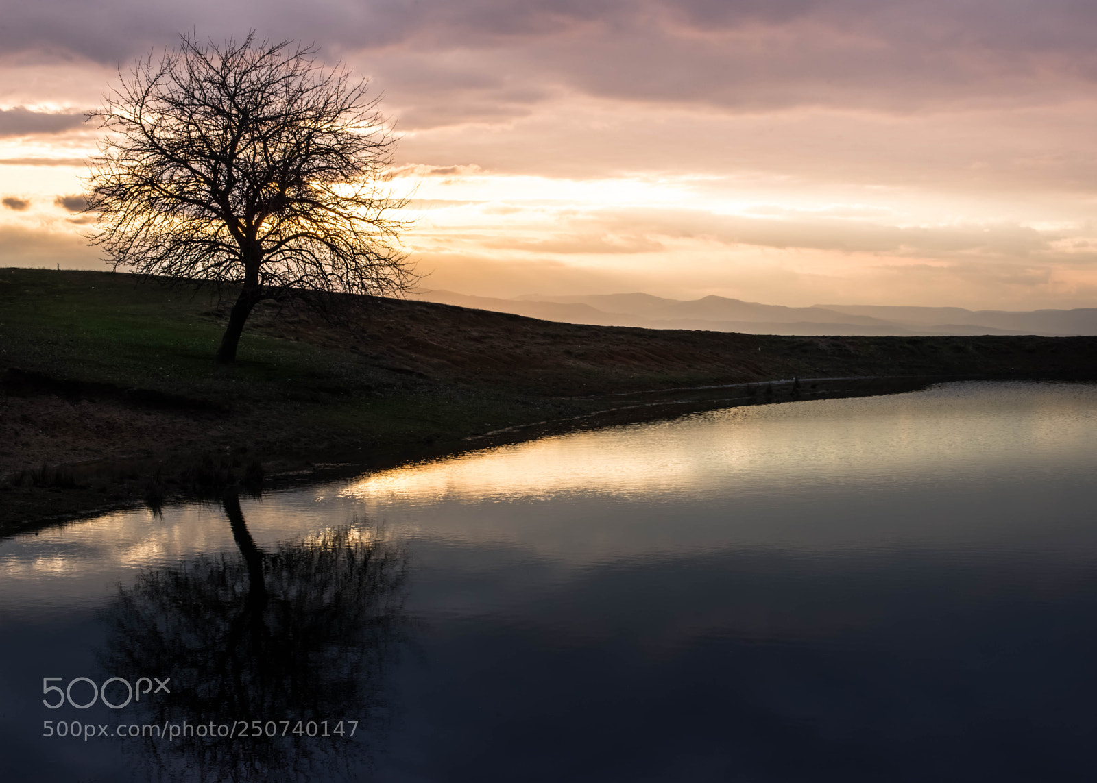 Nikon D610 sample photo. Silent sunset photography