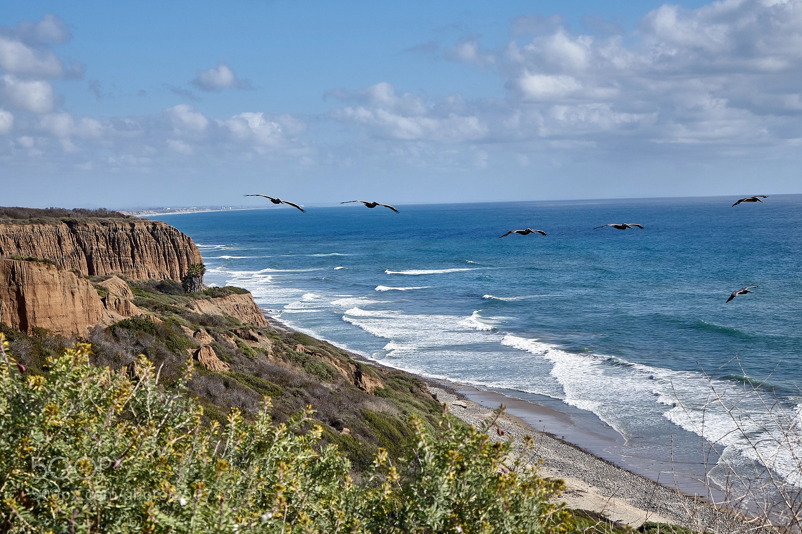 Sony Cyber-shot DSC-RX10 sample photo. San onofre photography