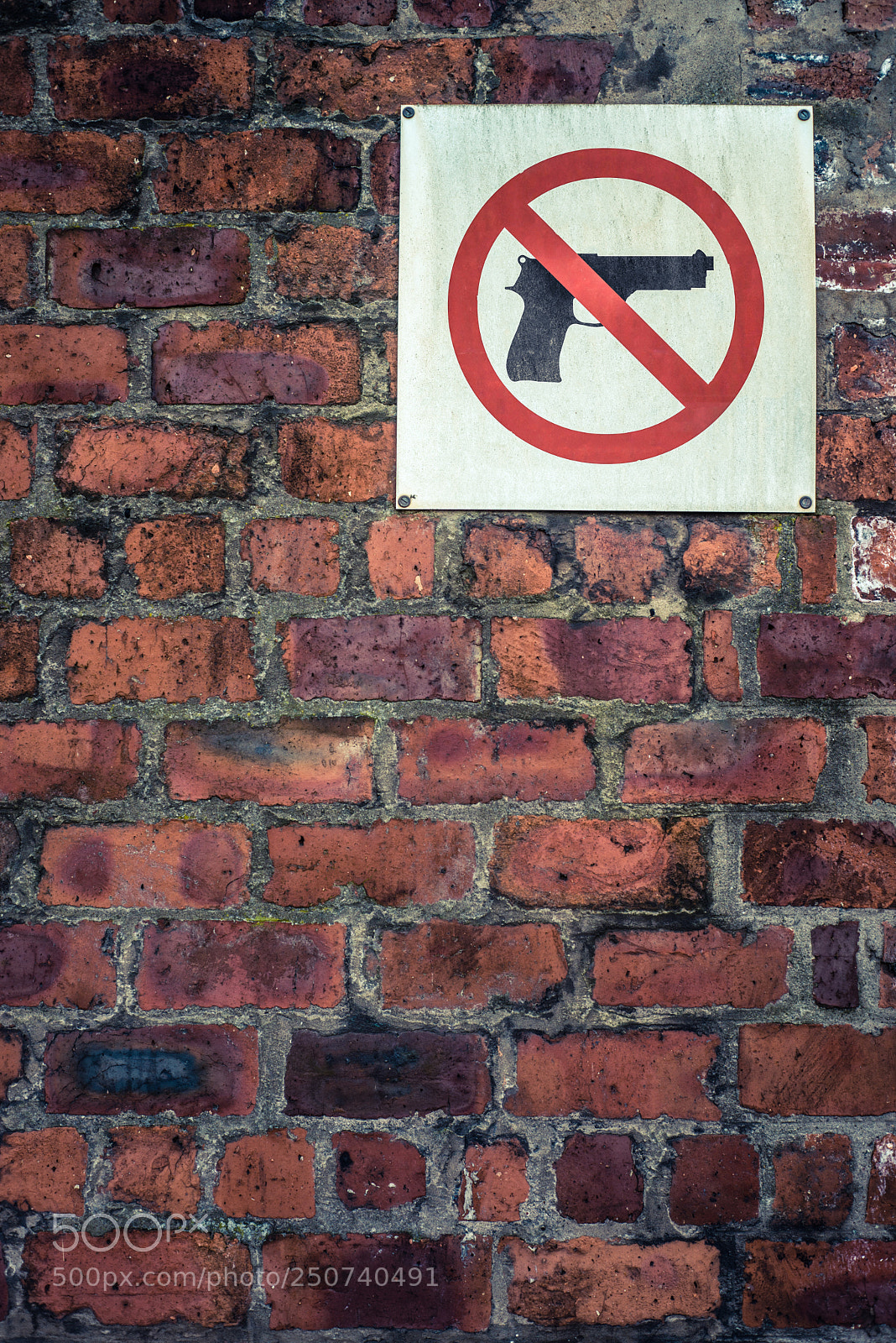 Nikon D800 sample photo. Grungy no guns sign photography