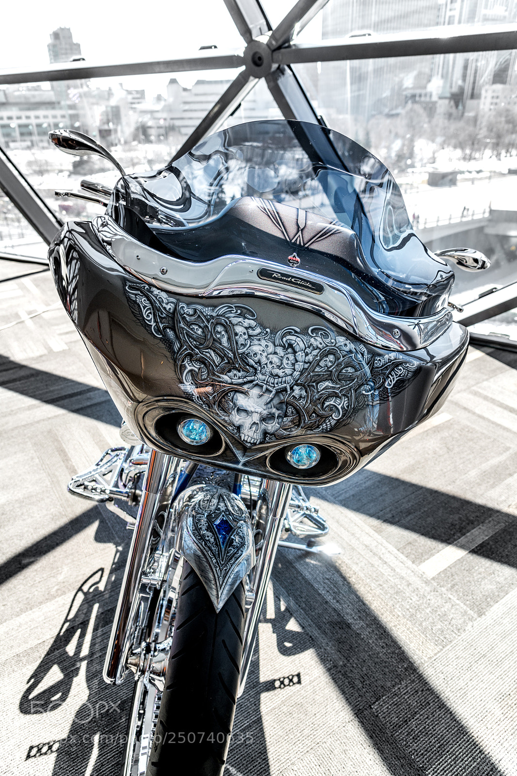Nikon D850 sample photo. Bird of prey photography