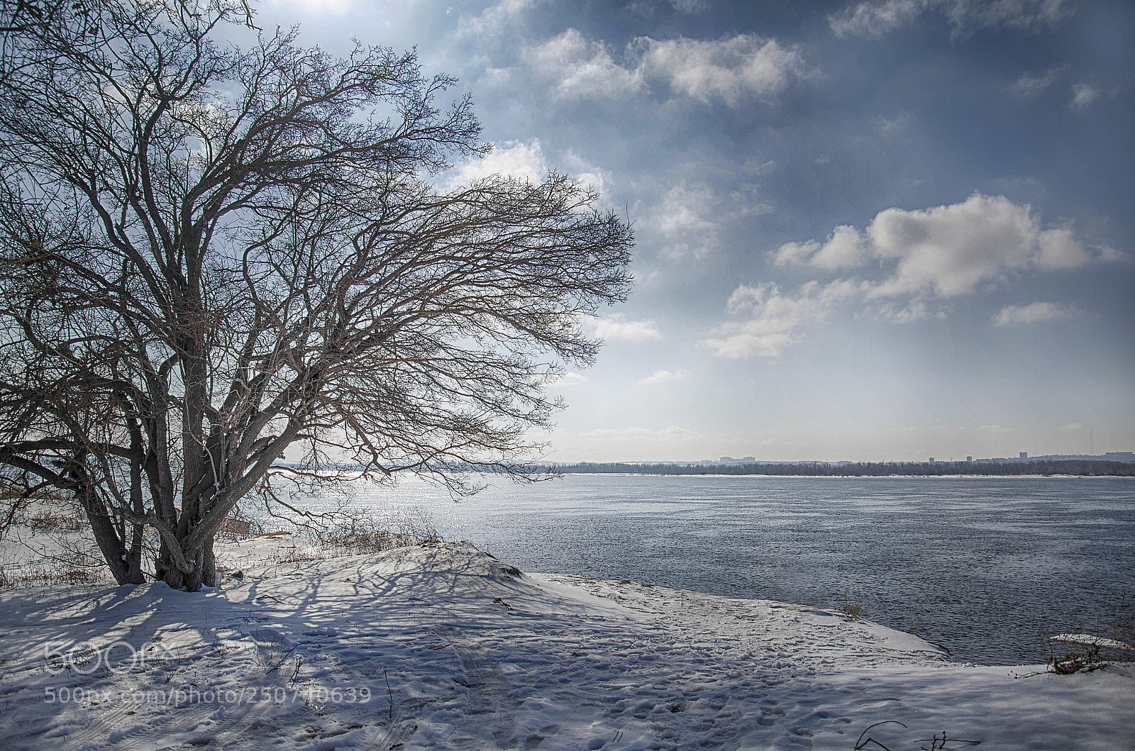 Nikon D5100 sample photo. *** photography