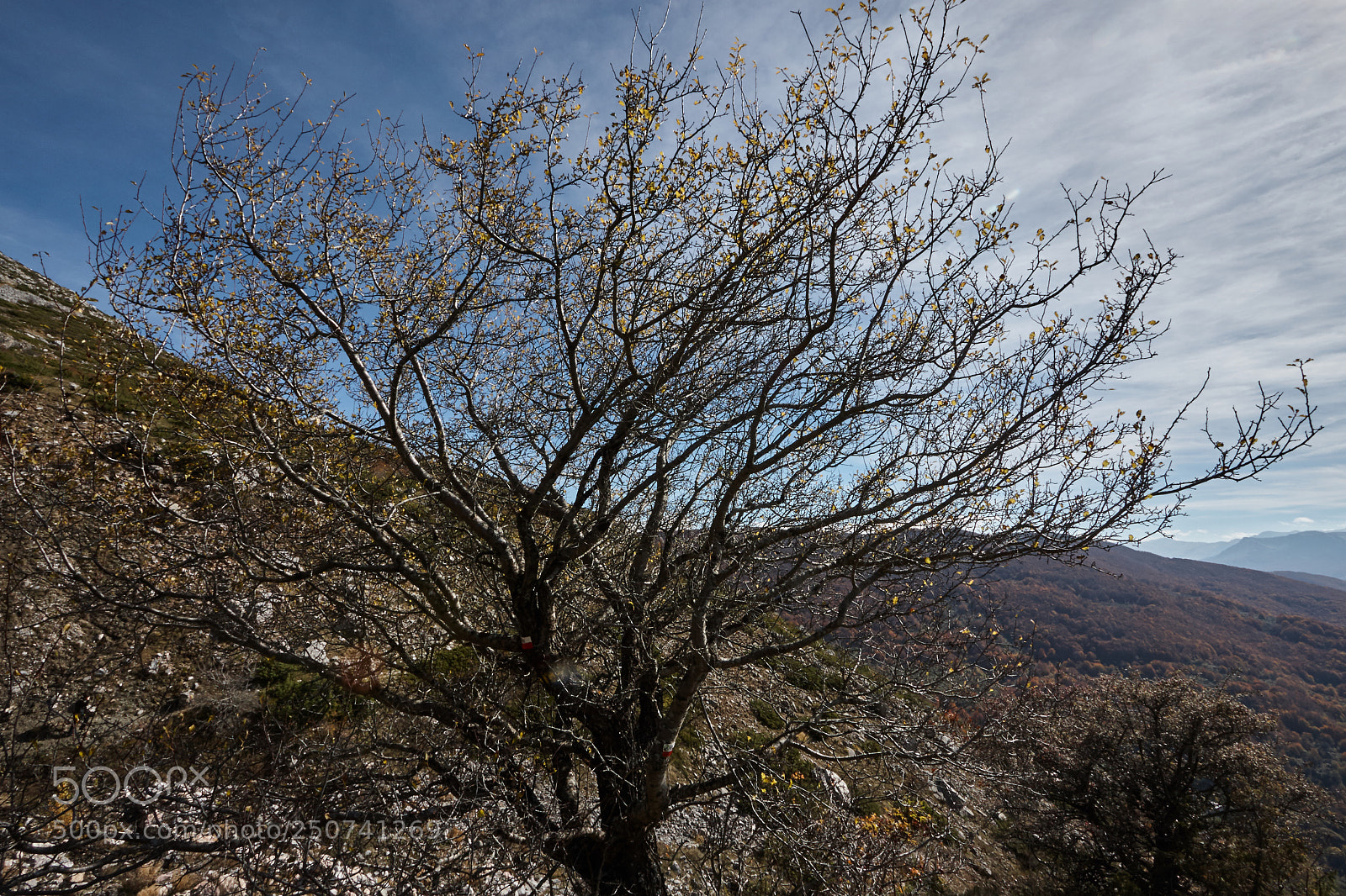 Canon EOS 40D sample photo. Img photography