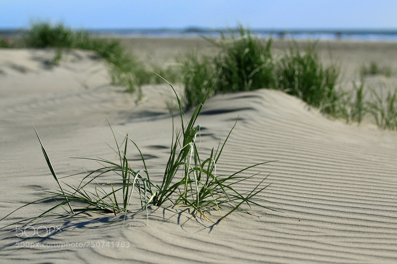 Canon EOS 50D sample photo. Wijk aan zee photography
