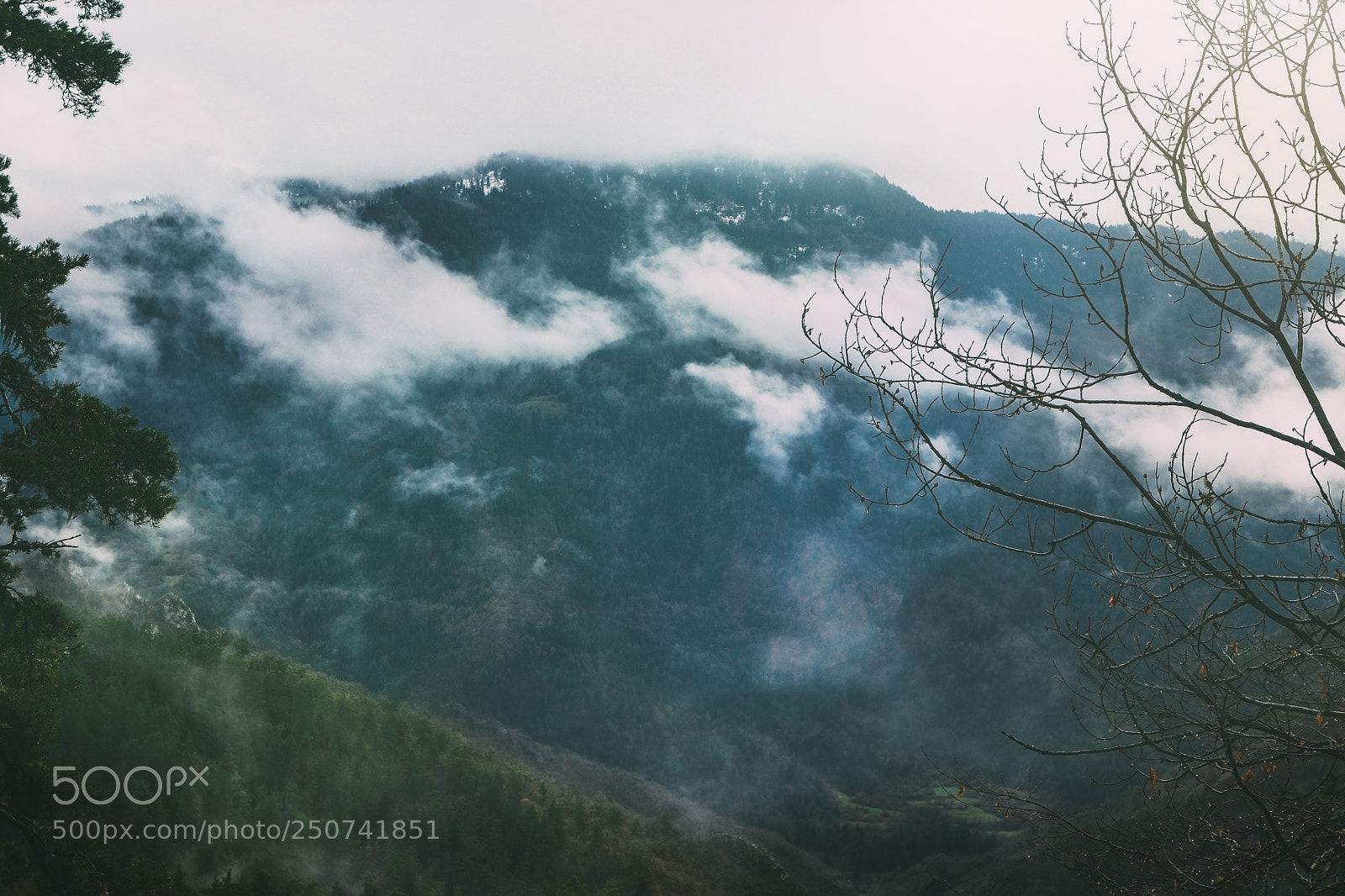 Nikon D3100 sample photo. Borjom-kharagauli national park, georgia photography