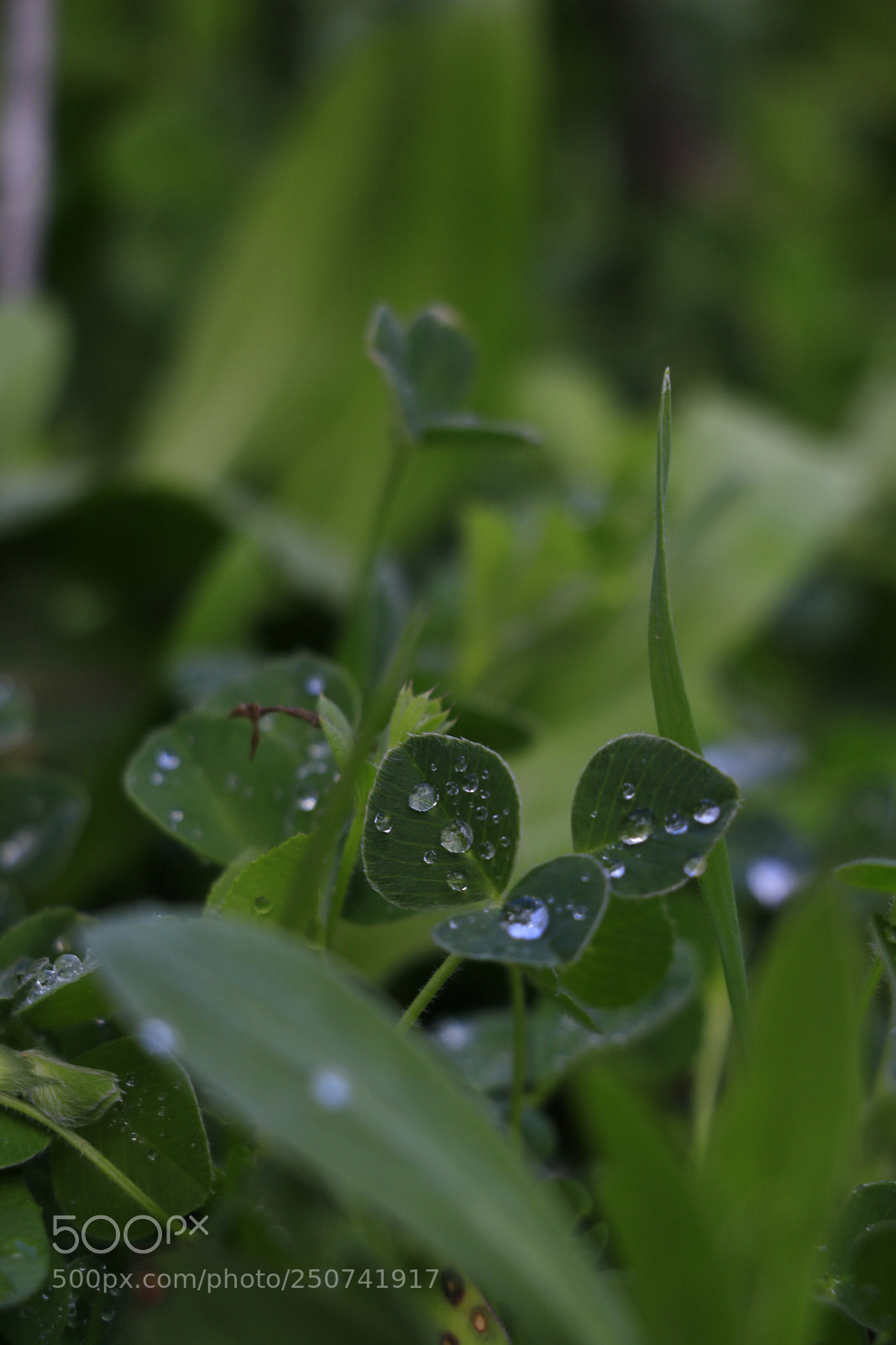 Canon EOS 70D sample photo. Untitled photography