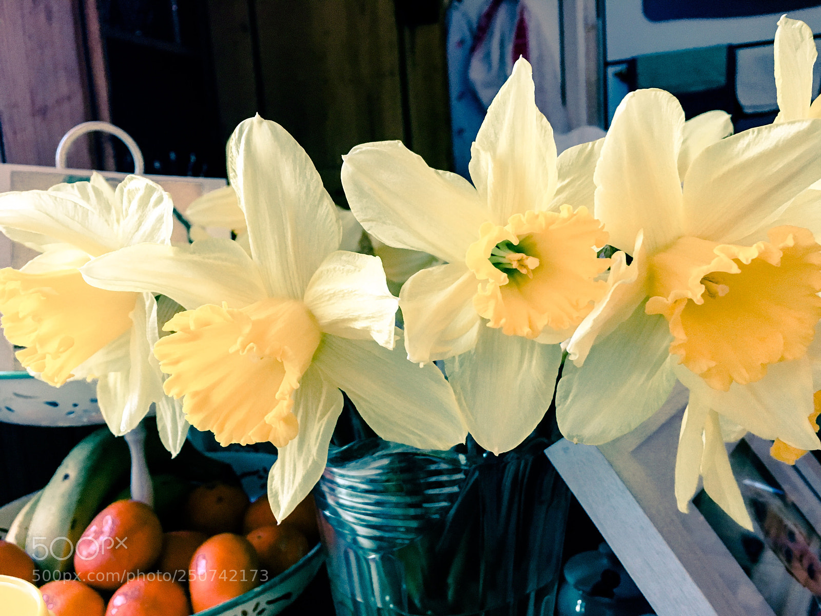 Apple iPhone 6s sample photo. Dafodils image 1  photography