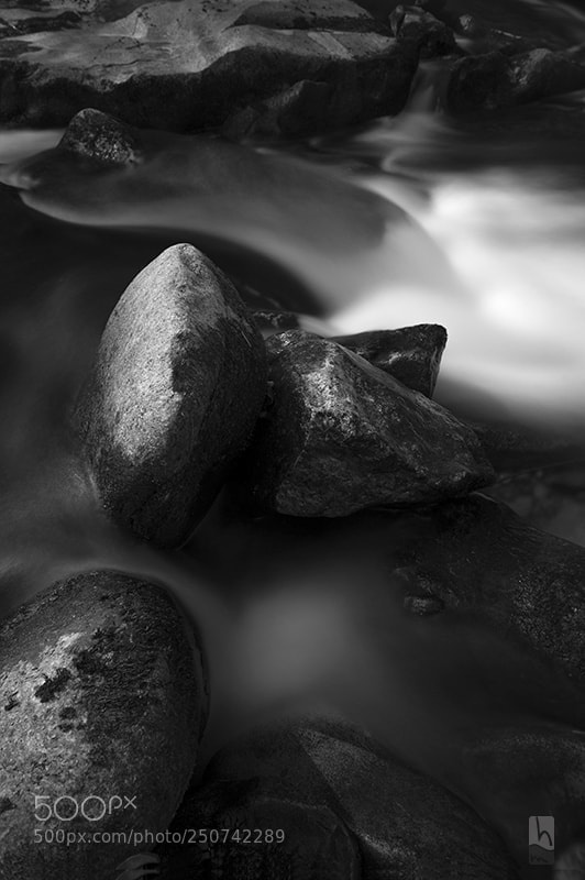 Nikon D4 sample photo. River of live photography