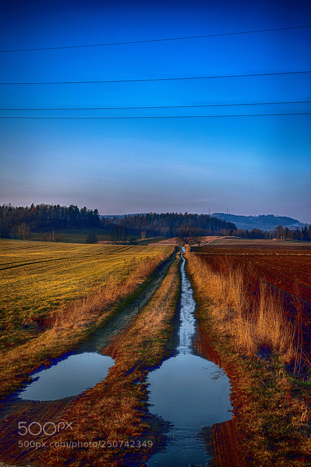 Nikon D5300 sample photo. Dróżkahdr photography