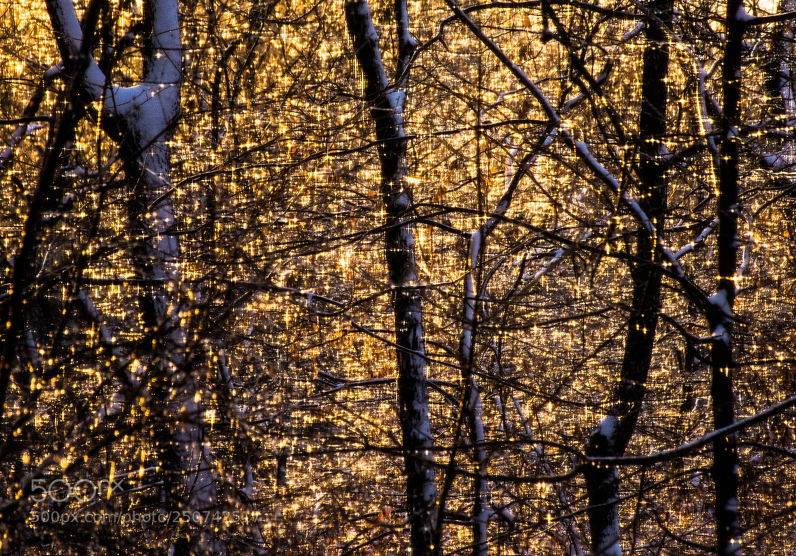 Nikon D7100 sample photo. The veil of isis photography