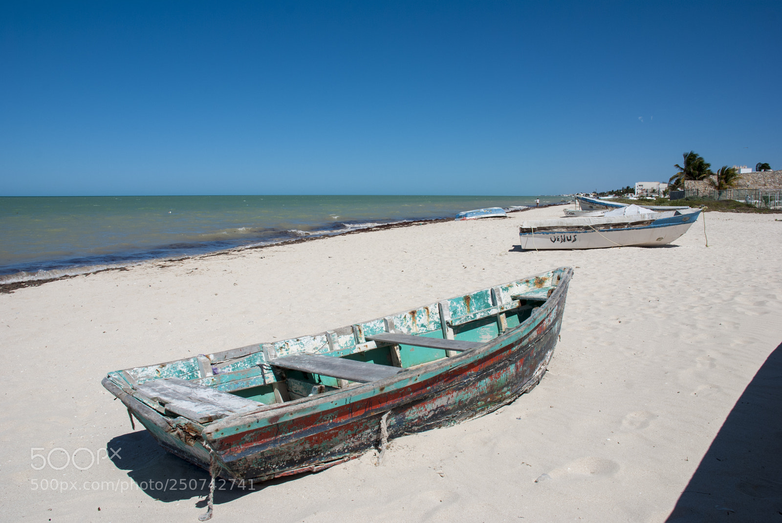 Nikon D80 sample photo. Sureste photography